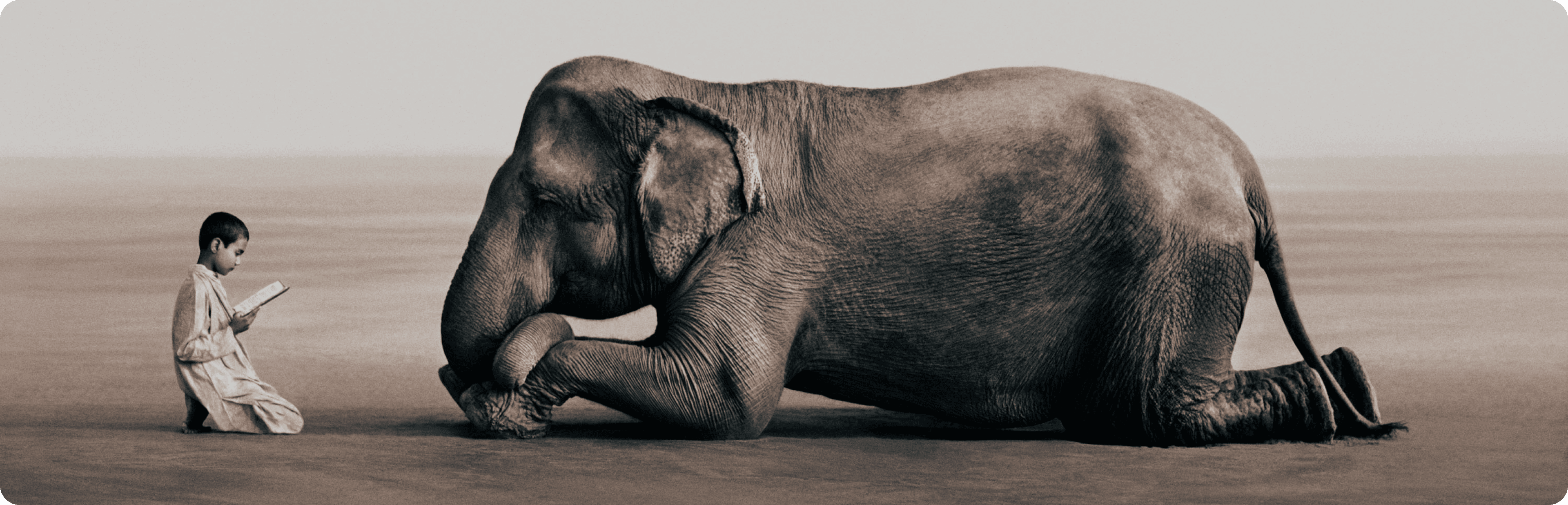 Ashes and Snow | Gregory Colbert